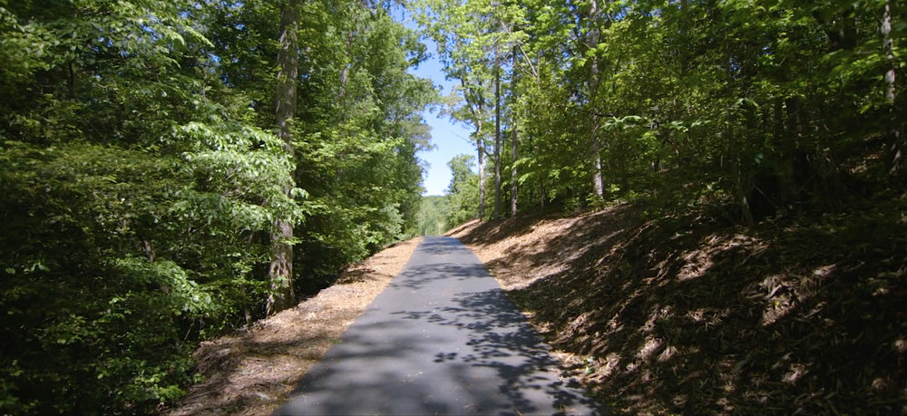 the beautiful driveway through the woods at The Hollow at Paris Mountain