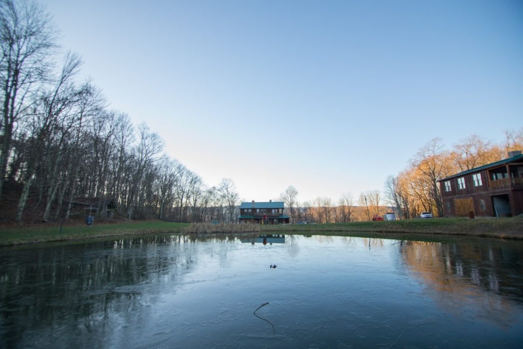 Pond and the cabin